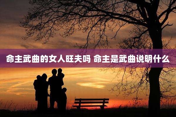 命主武曲的女人旺夫吗 命主是武曲说明什么