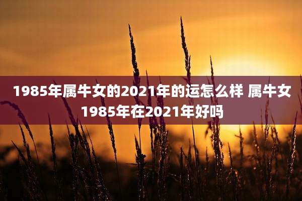 1985年属牛女的2021年的运怎么样 属牛女1985年在2021年好吗