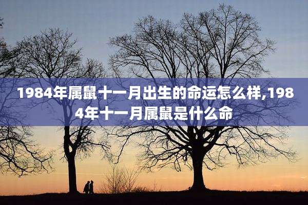 1984年属鼠十一月出生的命运怎么样,1984年十一月属鼠是什么命