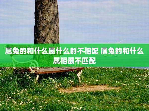属兔的和什么属什么的不相配 属兔的和什么属相最不匹配