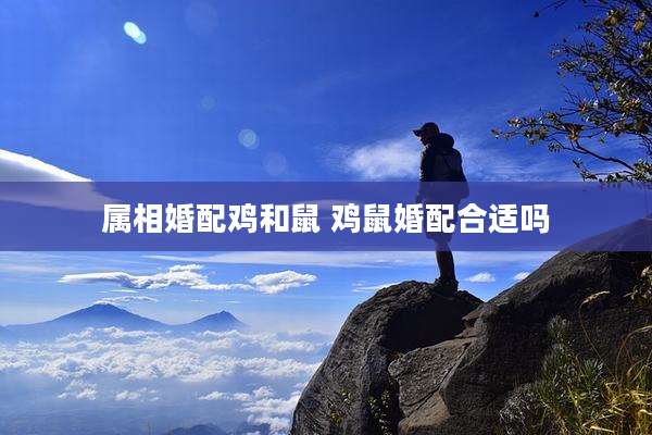 属相婚配鸡和鼠 鸡鼠婚配合适吗