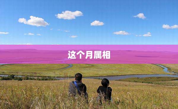 这个月属相