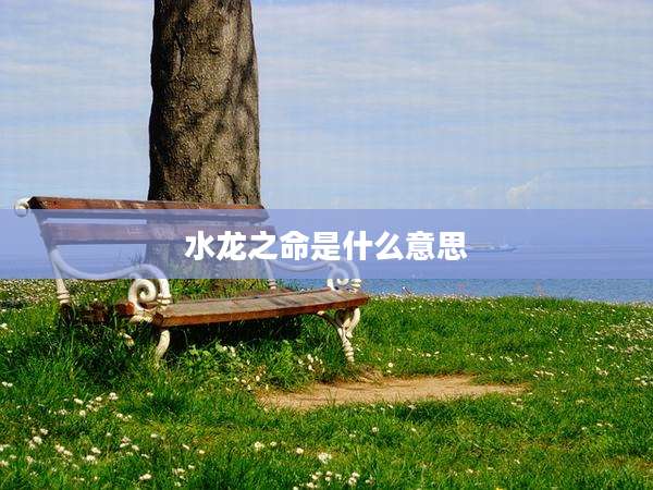 水龙之命是什么意思