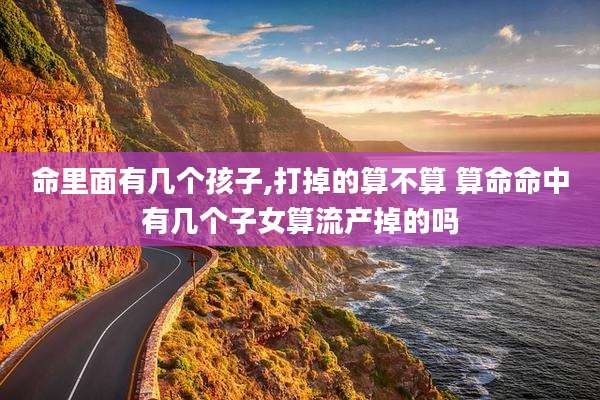 命里面有几个孩子,打掉的算不算 算命命中有几个子女算流产掉的吗