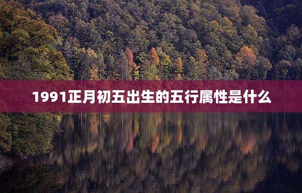 1991正月初五出生的五行属性是什么