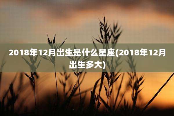 2018年12月出生是什么星座(2018年12月出生多大)