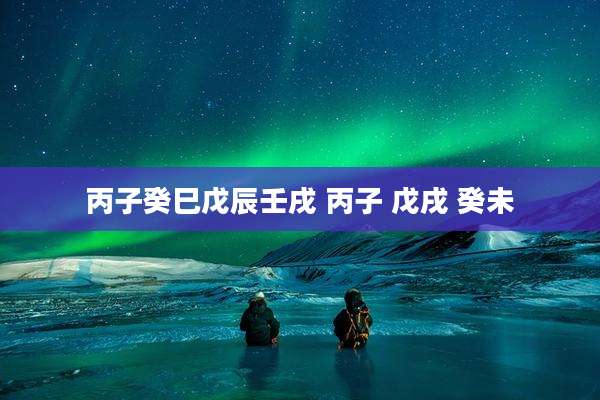 丙子癸巳戊辰壬戌 丙子 戊戌 癸未