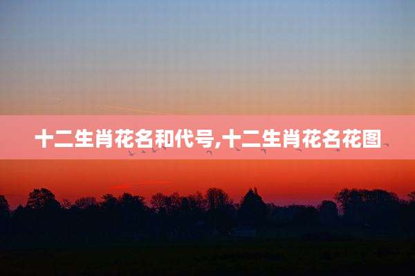 十二生肖花名和代号,十二生肖花名花图