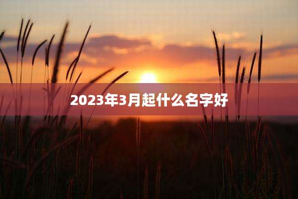 2023年3月起什么名字好