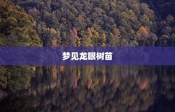 梦见龙眼树苗