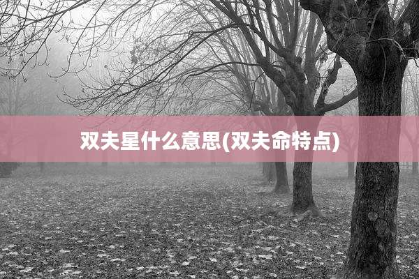 双夫星什么意思(双夫命特点)