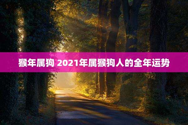 猴年属狗 2021年属猴狗人的全年运势
