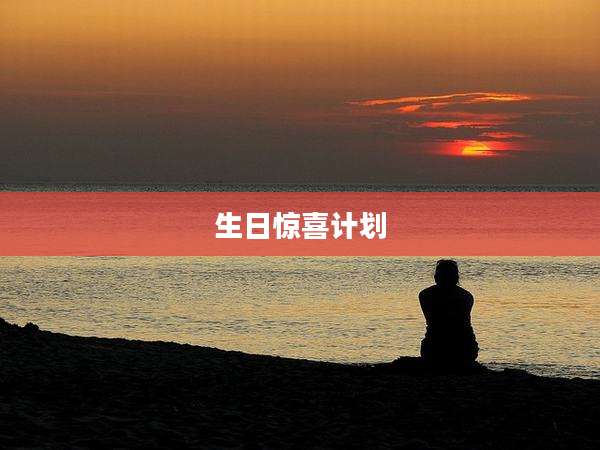 生日惊喜计划