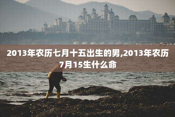 2013年农历七月十五出生的男,2013年农历7月15生什么命