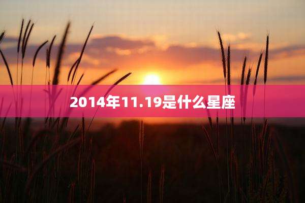 2014年11.19是什么星座