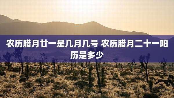 农历腊月廿一是几月几号 农历腊月二十一阳历是多少