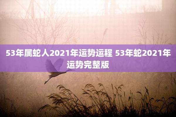 53年属蛇人2021年运势运程 53年蛇2021年运势完整版