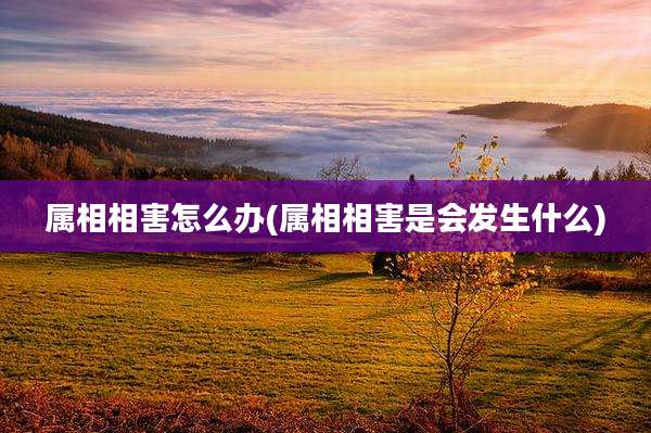 属相相害怎么办(属相相害是会发生什么)