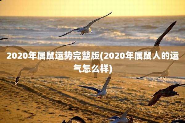 2020年属鼠运势完整版(2020年属鼠人的运气怎么样)