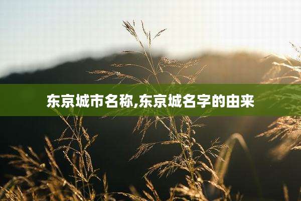 东京城市名称,东京城名字的由来