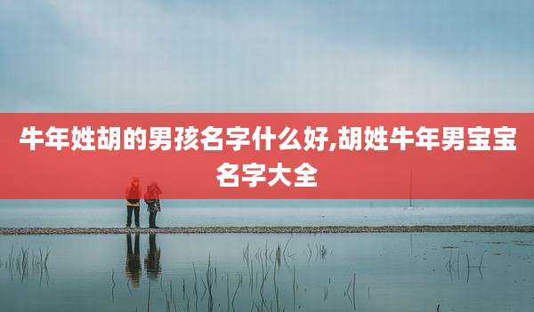 牛年姓胡的男孩名字什么好,胡姓牛年男宝宝名字大全