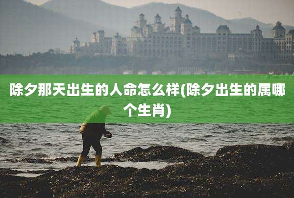 除夕那天出生的人命怎么样(除夕出生的属哪个生肖)