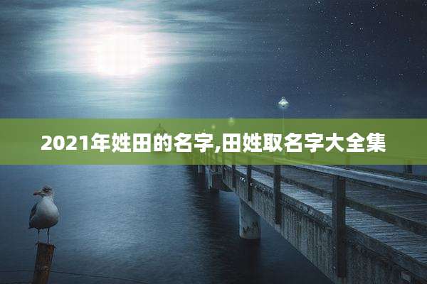 2021年姓田的名字,田姓取名字大全集