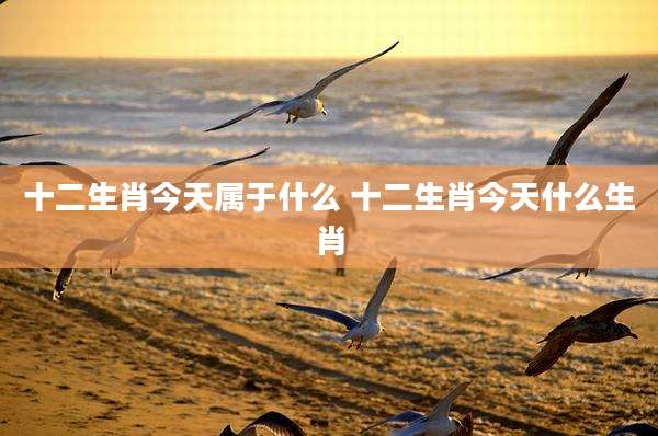 十二生肖今天属于什么 十二生肖今天什么生肖