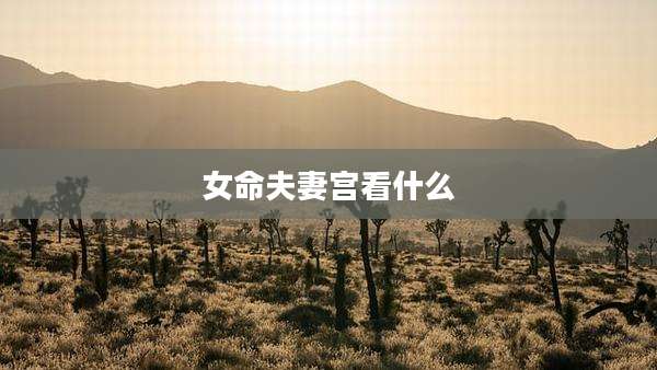 女命夫妻宫看什么