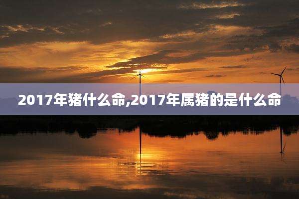 2017年猪什么命,2017年属猪的是什么命