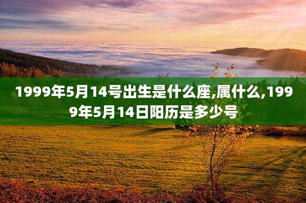 1999年5月14号出生是什么座,属什么,1999年5月14日阳历是多少号