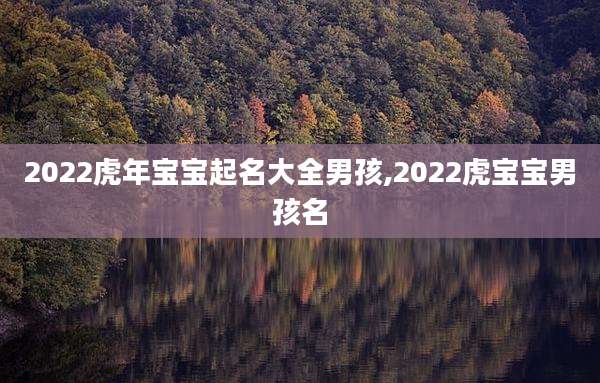 2022虎年宝宝起名大全男孩,2022虎宝宝男孩名