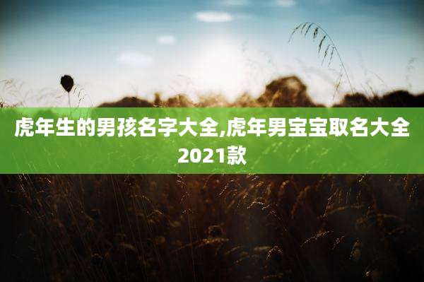 虎年生的男孩名字大全,虎年男宝宝取名大全2021款