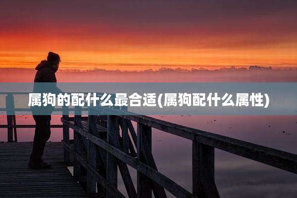属狗的配什么最合适(属狗配什么属性)