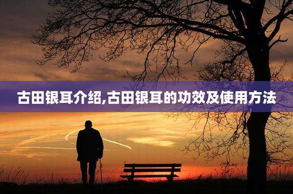 古田银耳介绍,古田银耳的功效及使用方法