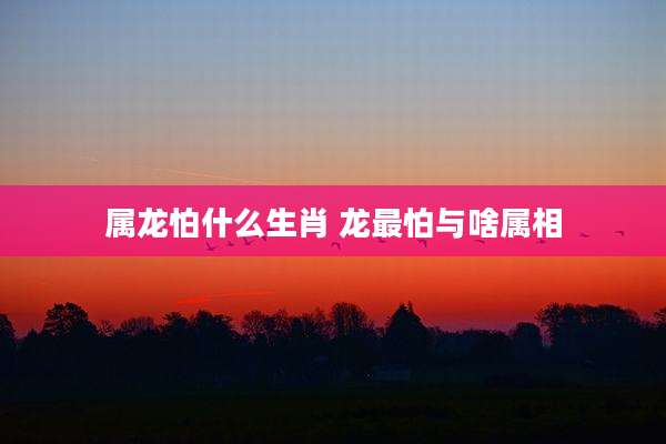属龙怕什么生肖 龙最怕与啥属相