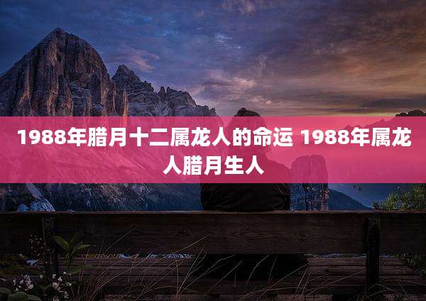 1988年腊月十二属龙人的命运 1988年属龙人腊月生人