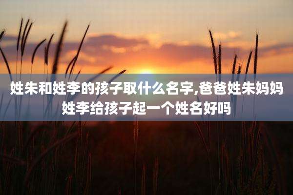 姓朱和姓李的孩子取什么名字,爸爸姓朱妈妈姓李给孩子起一个姓名好吗