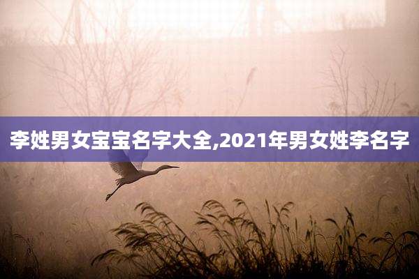 李姓男女宝宝名字大全,2021年男女姓李名字