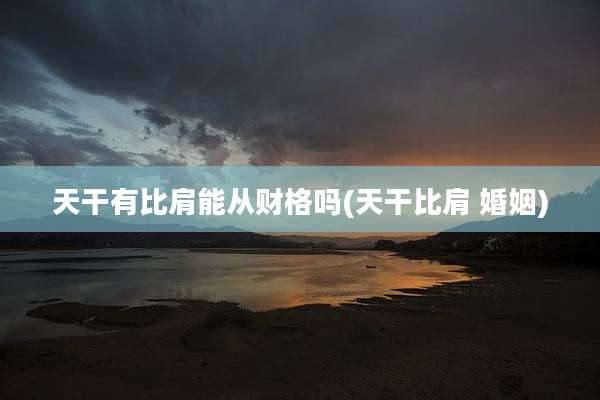 天干有比肩能从财格吗(天干比肩 婚姻)