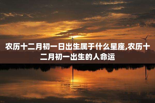 农历十二月初一日出生属于什么星座,农历十二月初一出生的人命运