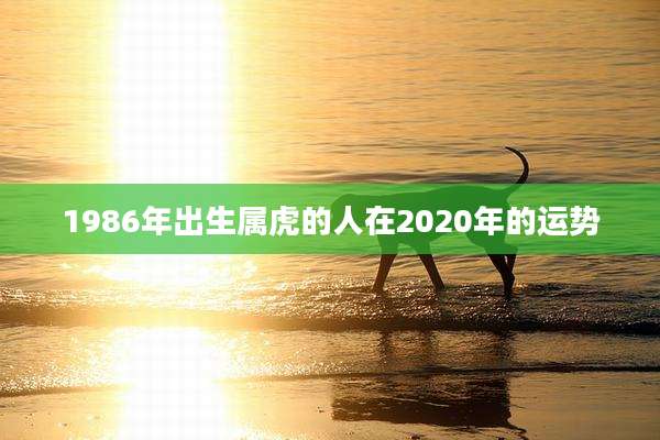1986年出生属虎的人在2020年的运势
