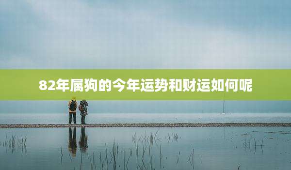82年属狗的今年运势和财运如何呢