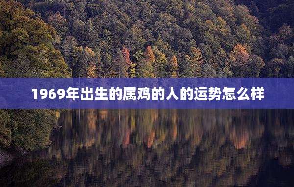 1969年出生的属鸡的人的运势怎么样