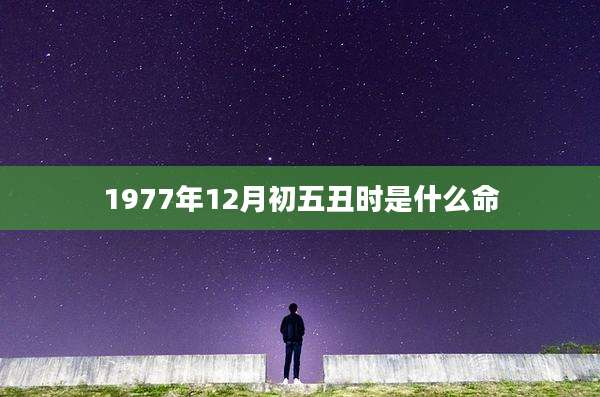 1977年12月初五丑时是什么命