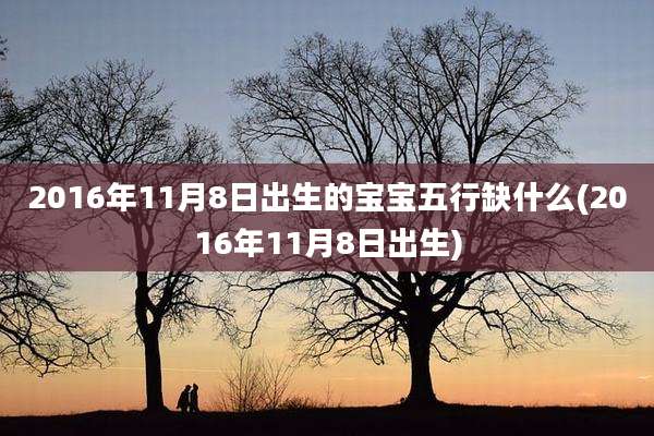 2016年11月8日出生的宝宝五行缺什么(2016年11月8日出生)