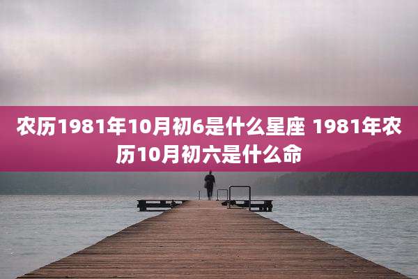 农历1981年10月初6是什么星座 1981年农历10月初六是什么命