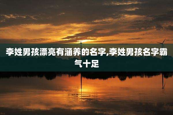 李姓男孩漂亮有涵养的名字,李姓男孩名字霸气十足