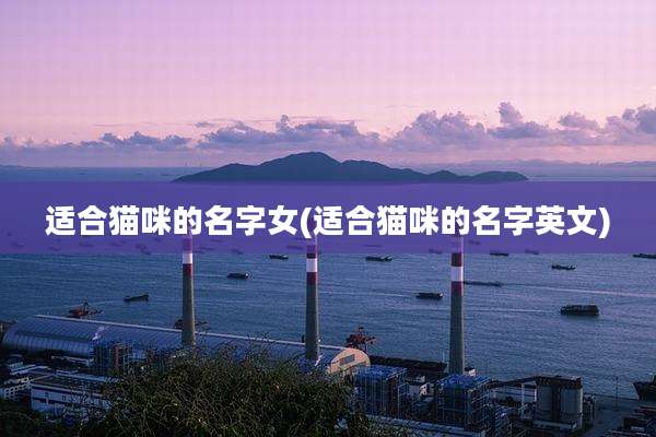 适合猫咪的名字女(适合猫咪的名字英文)