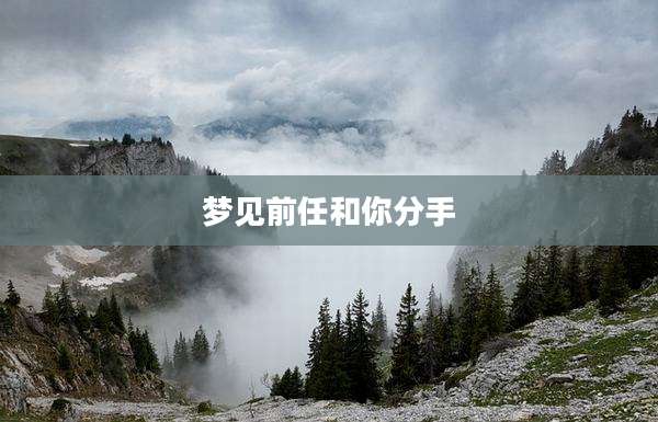 梦见前任和你分手